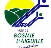 Logo_bosmie_laiguille